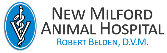New Milford Animal Hospital | New Milford & Kent, CT | Animal Hospital